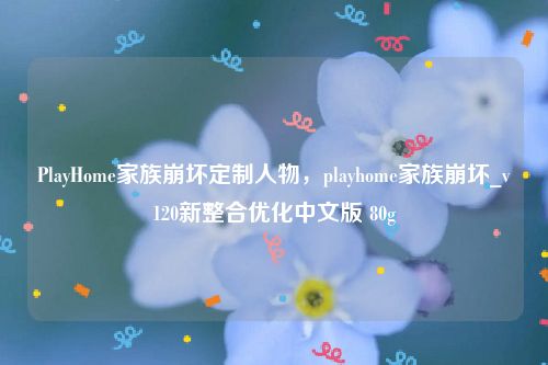 PlayHome家族崩坏定制人物，playhome家族崩坏_v120新整合优化中文版 80g