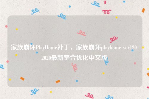 家族崩坏PlayHome补丁，家族崩坏playhome ver120 2020最新整合优化中文版