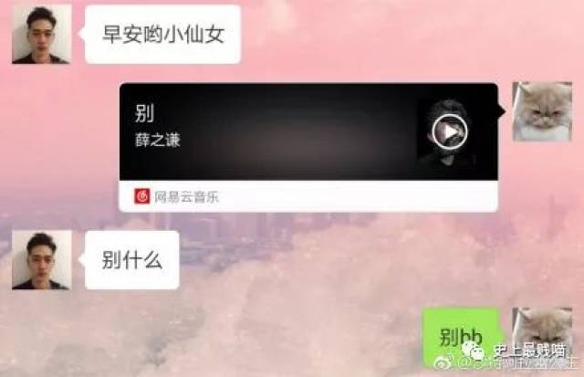 假日总动员 产品图片