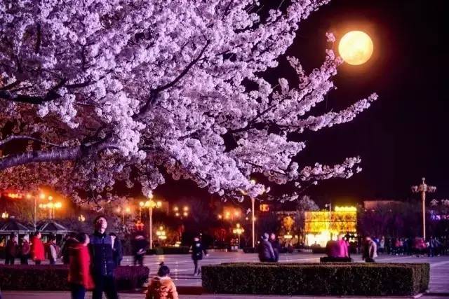 你的老鼠朋友 产品主图