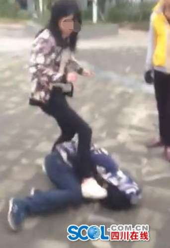 企鹅公路 相关产品