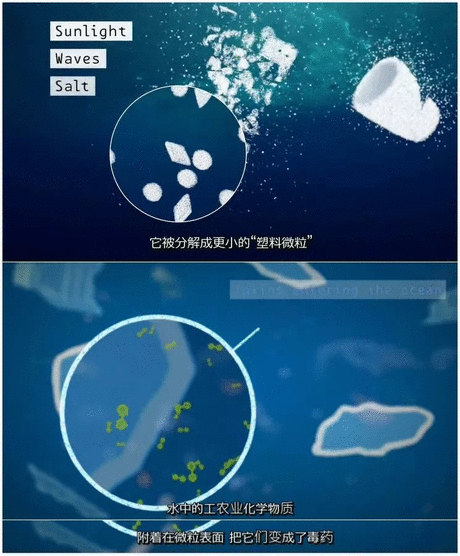 何去何从 相关产品