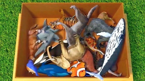 假日旅途：蒂罗尔之旅