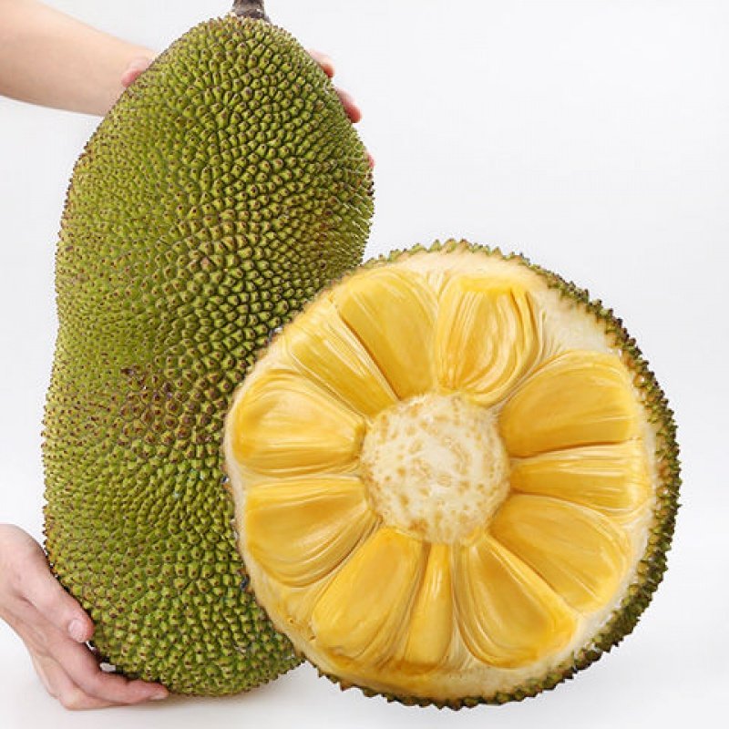 侠盗联盟（原声版） 推荐产品