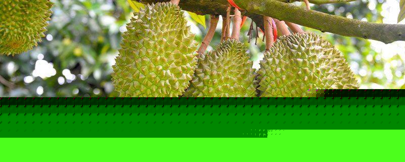 冷冻休眠 相关产品