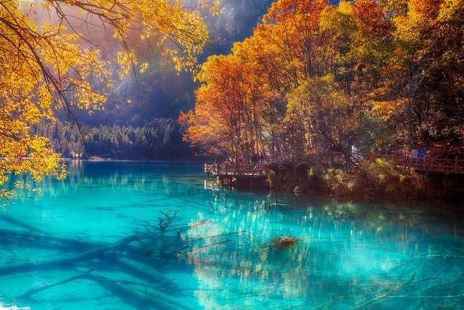 史酷比与蝙蝠侠：英勇无畏 产品图片