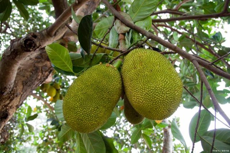 再见，男孩 相关产品