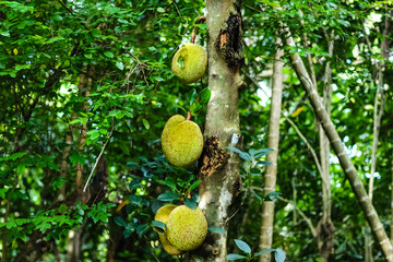 四百击 相关产品