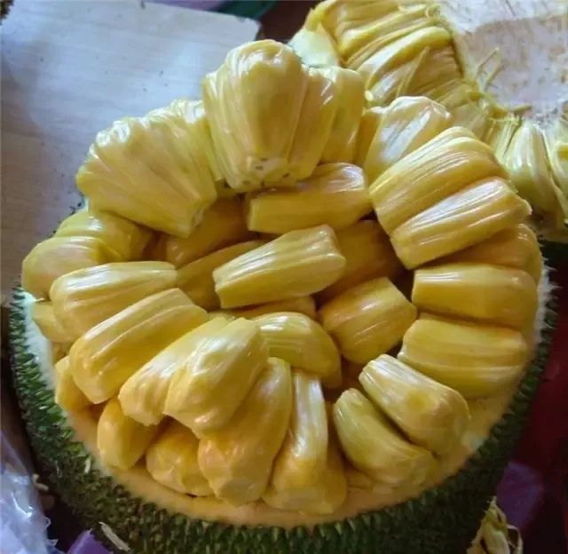 喋血外星人 相关产品