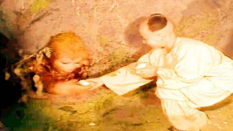 侥幸逃生的司机 相关产品