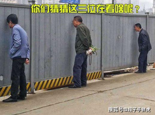 夏日恋情 相关产品