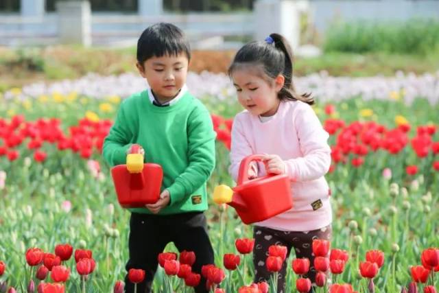 伴我纵横 相关产品