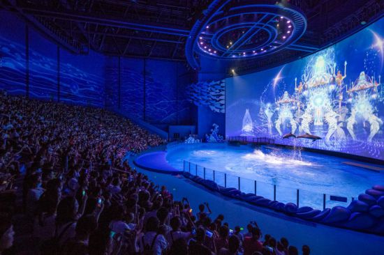 只要你说你爱我 相关产品