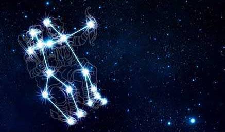 圣龙奇兵大冒险 产品图片