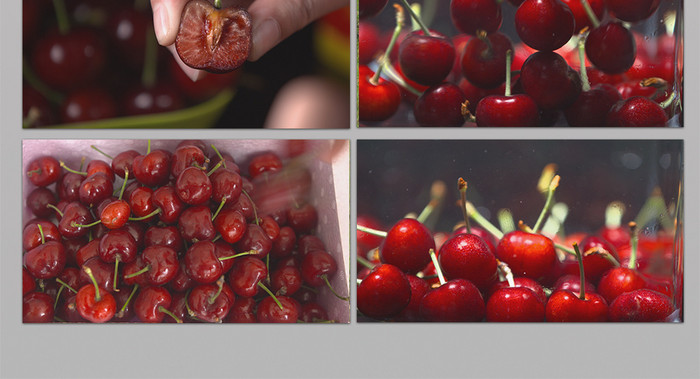 侠僧探案传奇之醉玲珑 相关产品