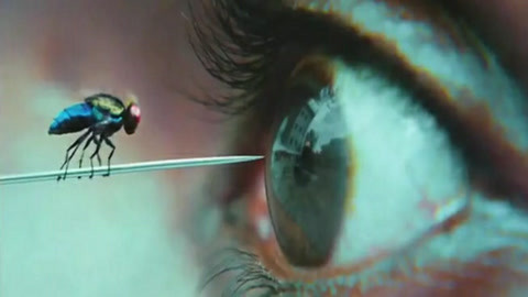 在你面前 相关产品