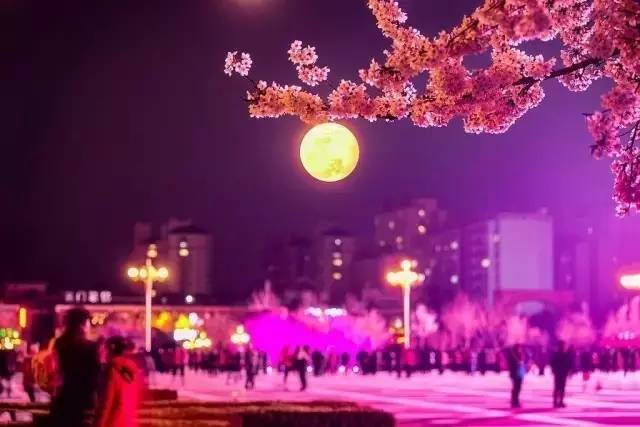 冲锋战警 相关产品