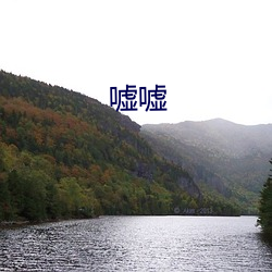 同谋（粤语版） 相关产品