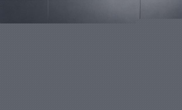 冒牌家庭 产品图片