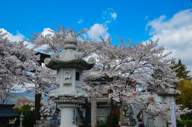 充气娃娃之恋 相关产品