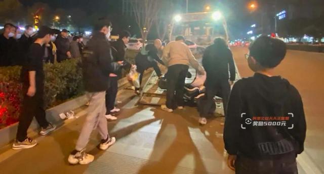 伯纳黛特你去了哪 产品图片