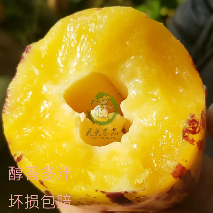 伟大杰作 产品主图