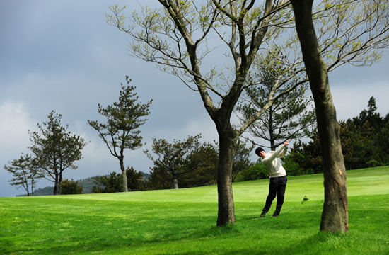 侏罗纪世界 相关产品