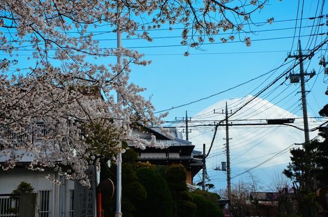 冷冻休眠 产品图片