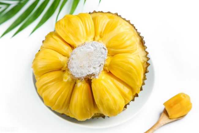 发条橙 产品图片