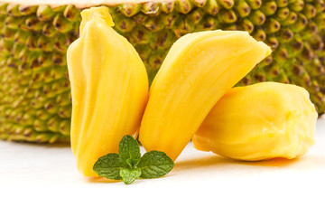 你的鸟儿会唱歌 产品主图