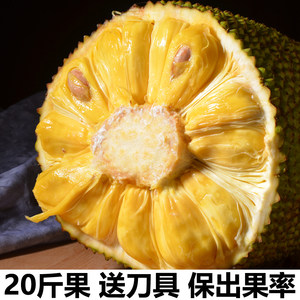 伊格尔和鹤的旅程 相关产品