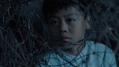 假装看不见之电影大师 相关产品