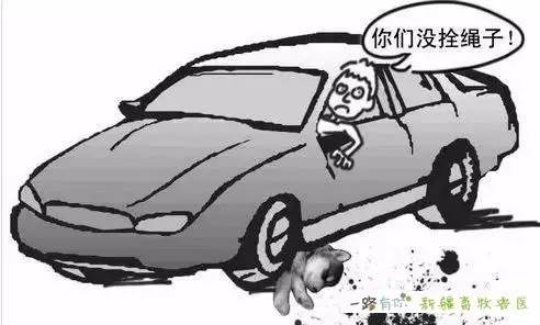 傲慢与善良 相关产品