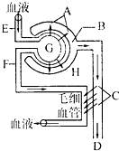 变形金刚：超能勇士崛起 国语版 相关产品
