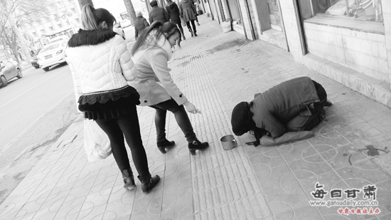 冰川鲨鱼 产品图片