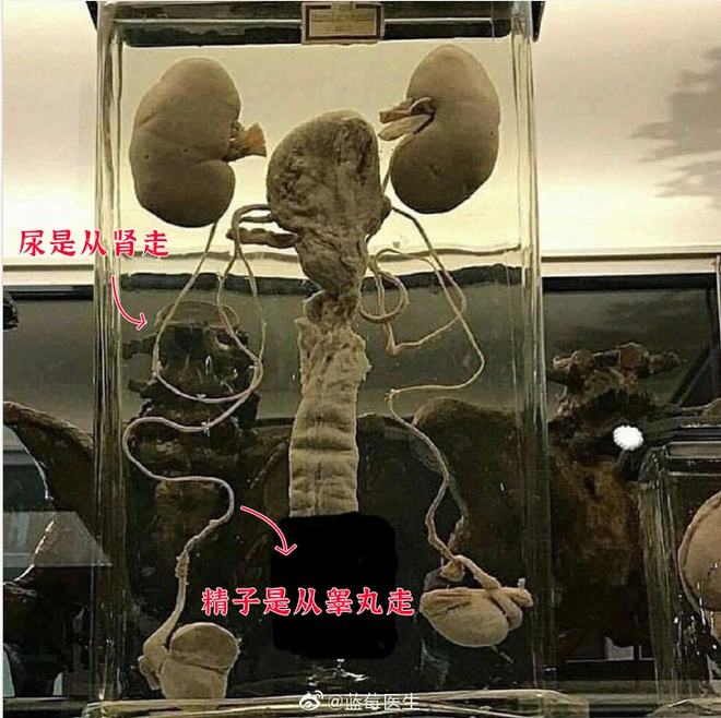 土路都有盐味道 相关产品