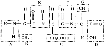 仙剑伏魔：倩女玄姬 相关产品