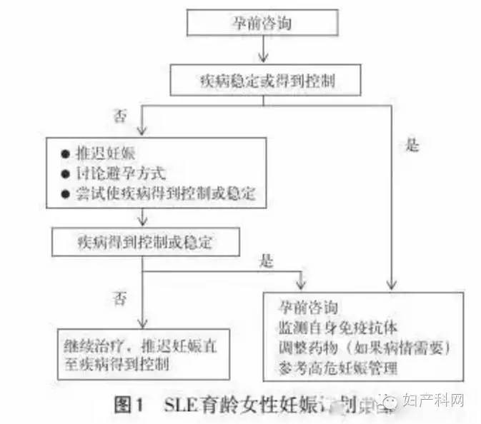 响尾蛇 相关产品