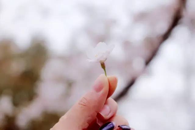 你在哪 相关产品