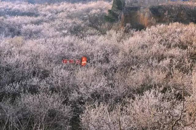 便利贴 产品图片