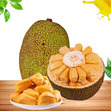 叛军岭 相关产品