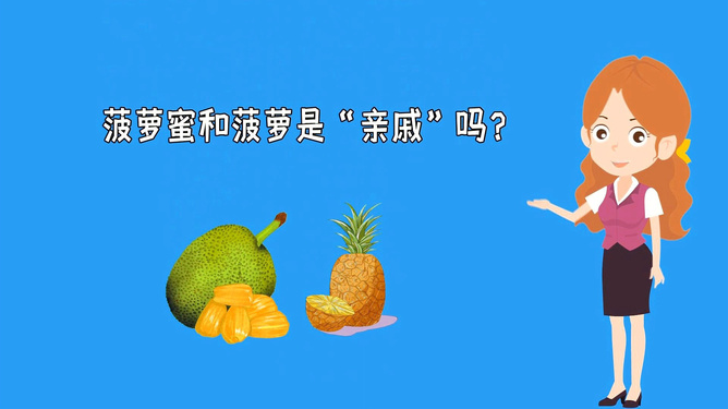 代号猛虎行动 相关产品