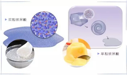 仙厨奇缘 相关产品