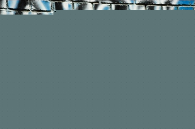 啤酒花 产品图片