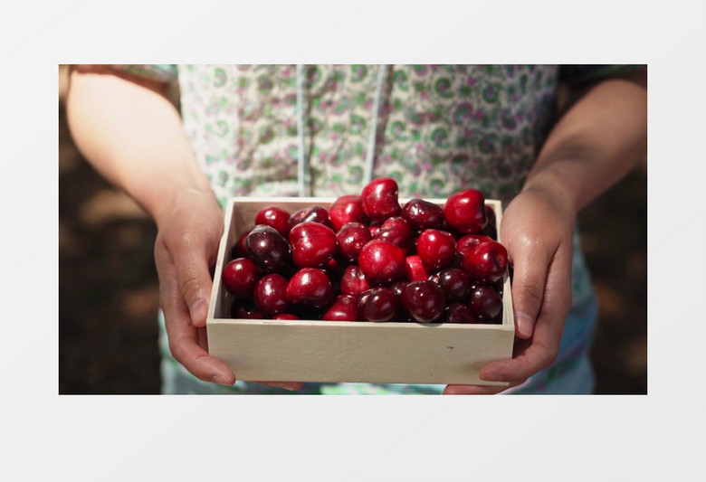 会计刺客（普通话版） 相关产品