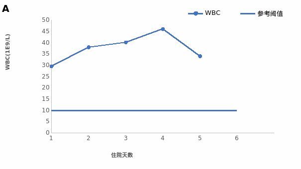 兄弟1986 产品图片