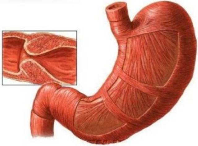 双城计中计 产品主图