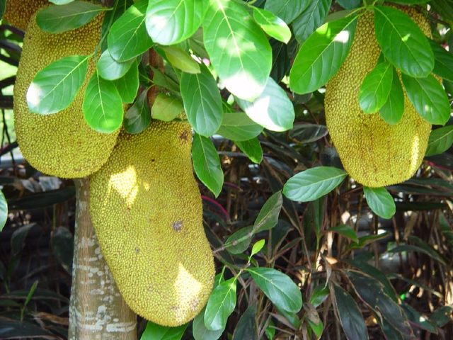 侏罗纪：重生 相关产品