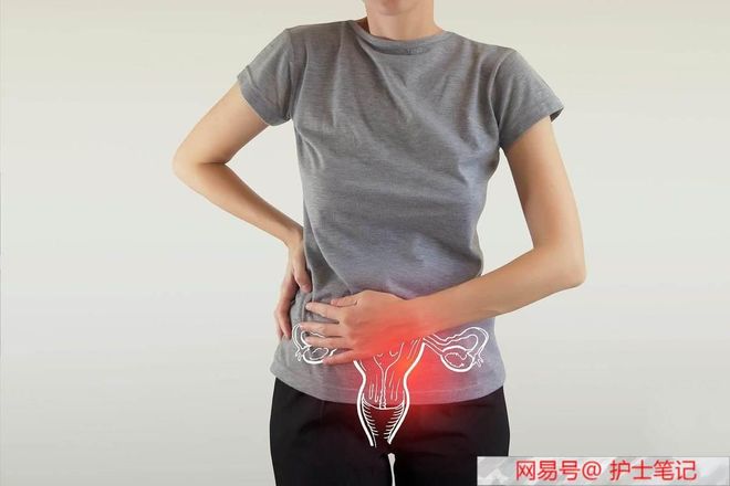 冷血悍将 产品图片