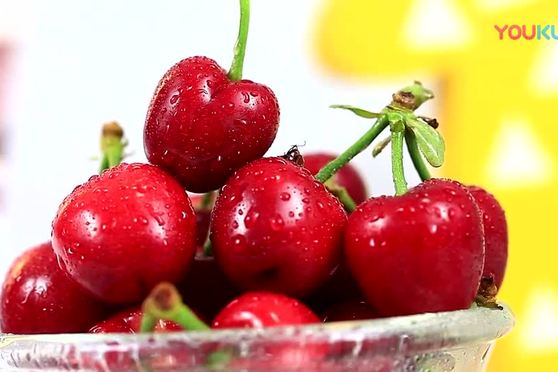 僵尸小姐 相关产品